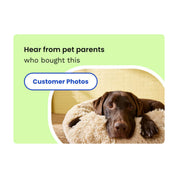 Pet Salon - LED-Nagelknipser