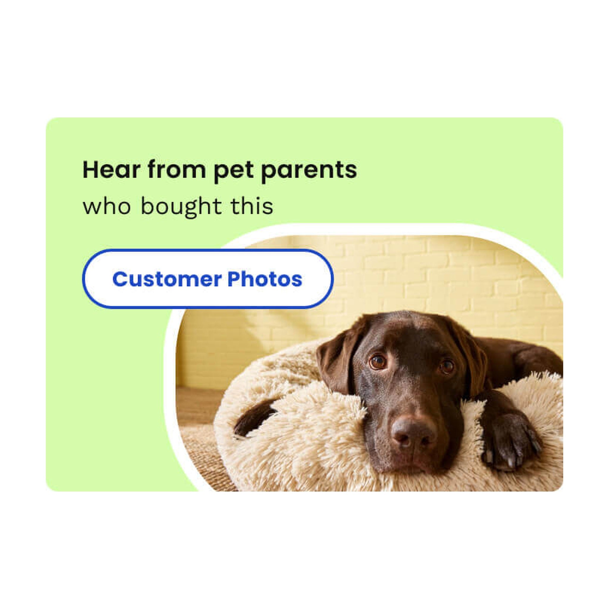Pet Salon - LED-Nagelknipser