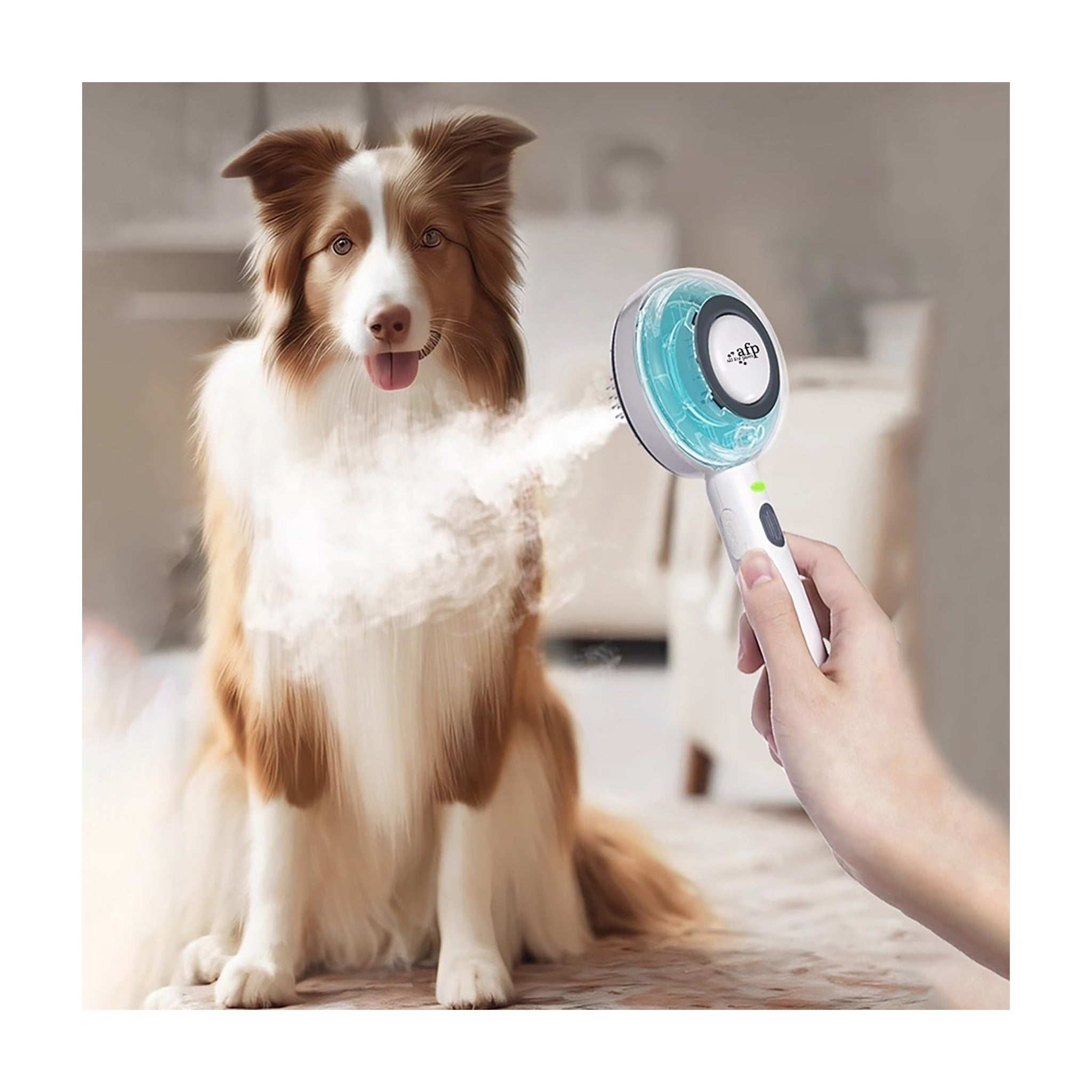 Pet Salon -Haustier Sprühbürste