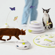 Interaktives Katzenspielzeug - Nachfüllpack Schmetterlinge – 6er Pack