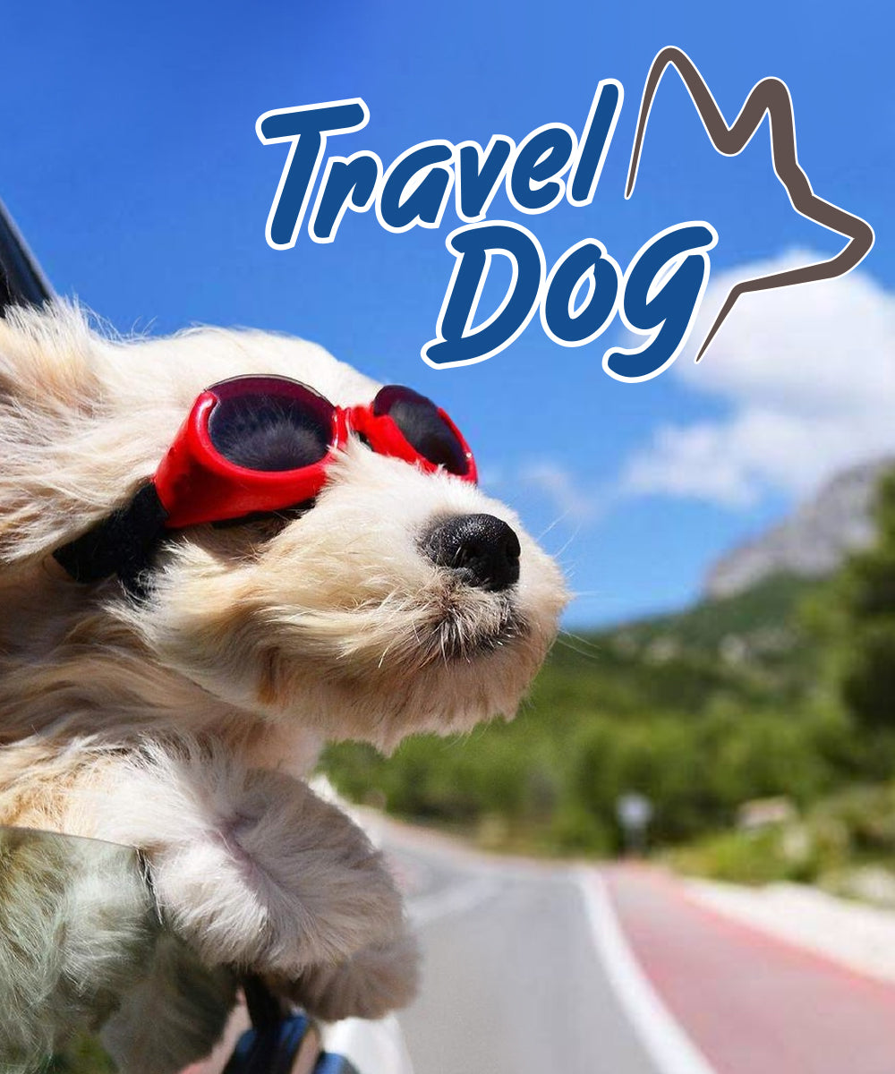 afp-Pet_Supplies-dog-travel.jpg