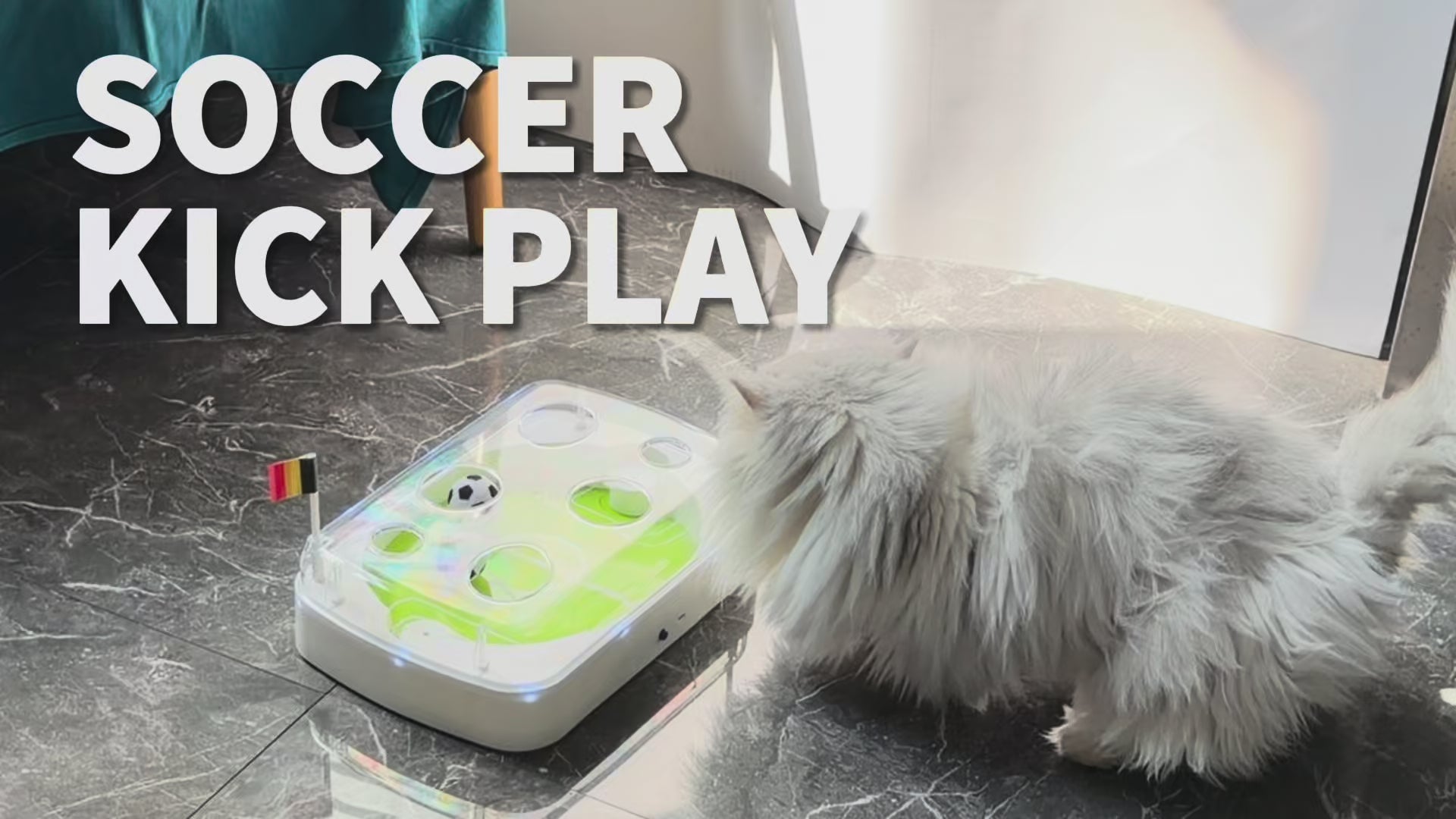 Interaktives Katzenspielzeug - Fußballstadion für Katzen