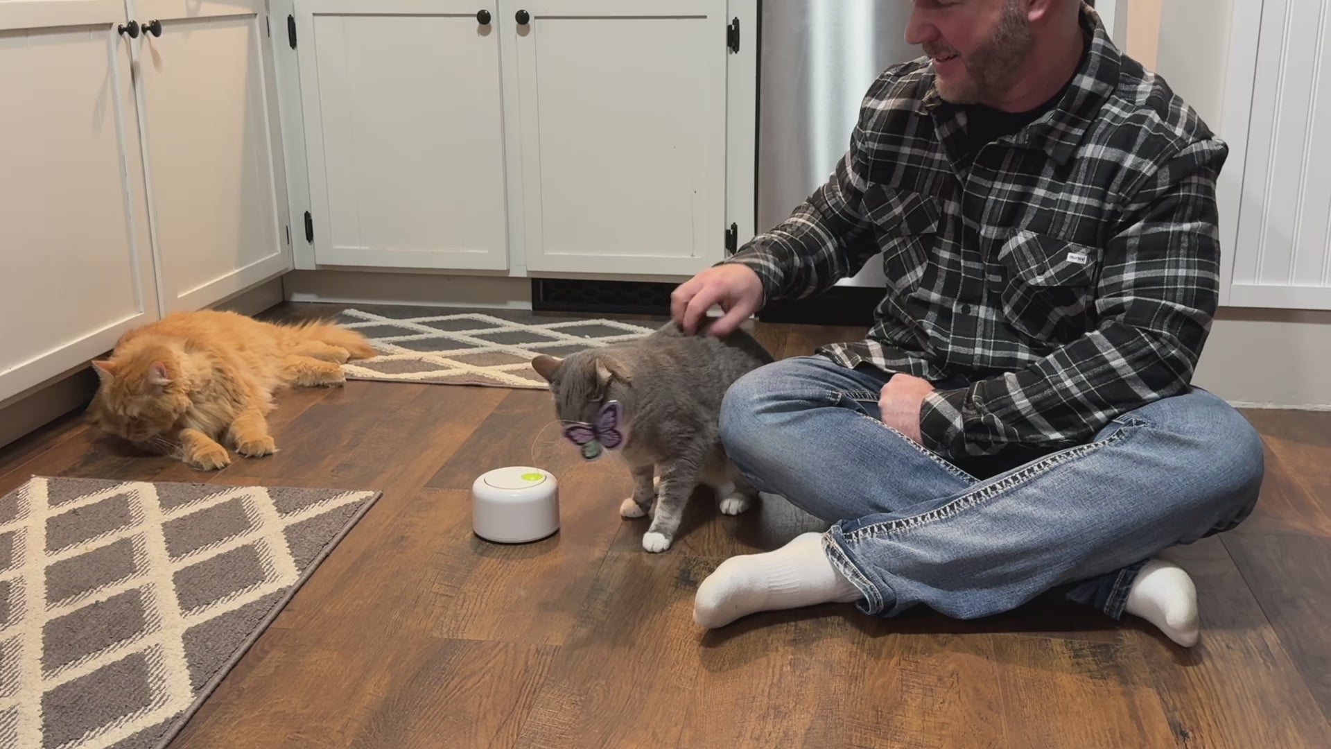 Interaktives Katzenspielzeug - Motion Activated Butterfly